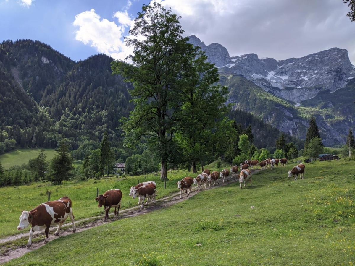 Bio Bauernhof Vorderoberlehen Hotel Werfenweng Eksteriør billede