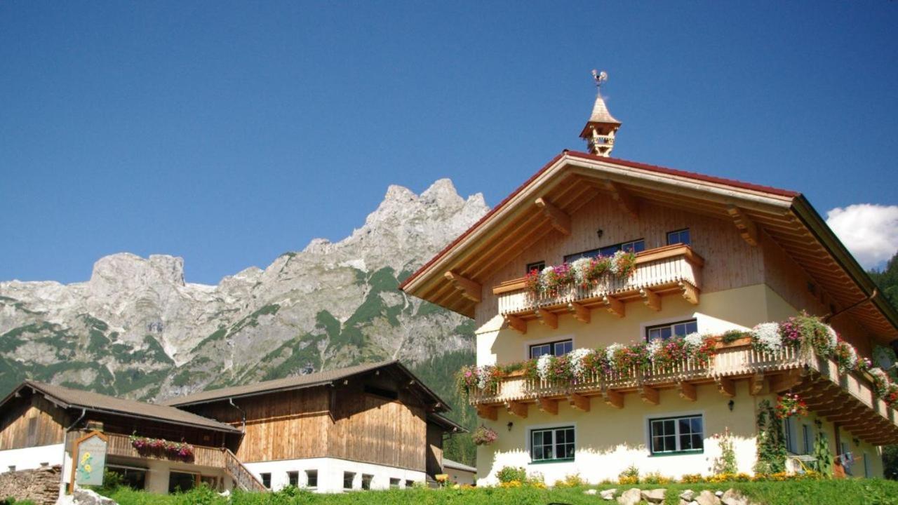 Bio Bauernhof Vorderoberlehen Hotel Werfenweng Eksteriør billede
